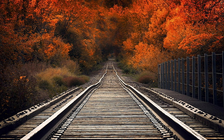 alam, kereta api, Wallpaper HD