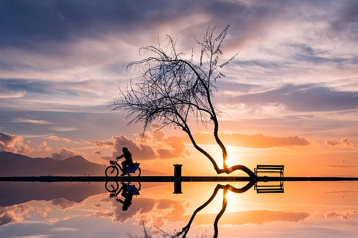 Frauen auf Fahrrad im Sonnenuntergang, Sonnenuntergang, Baum, Frau, Fahrrad, Schattenbilder, Reflexion, HD-Hintergrundbild