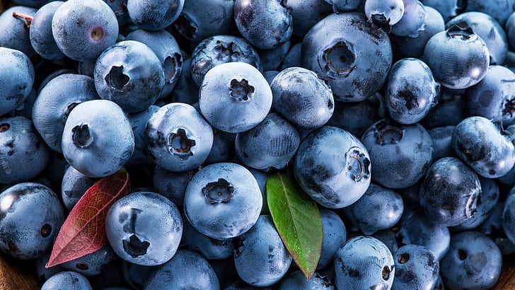 buah, berry, blueberry, makanan super, makanan alami, Wallpaper HD