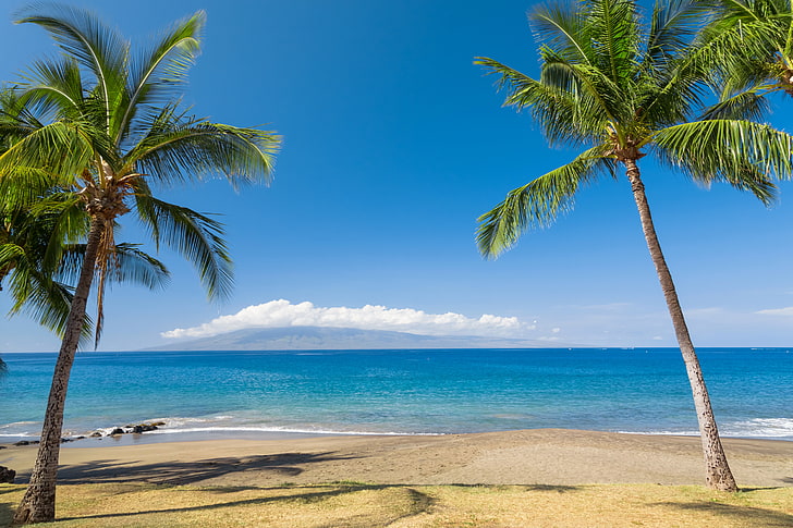 two coconut trees, sand, sea, beach, the sky, the sun, clouds, tropics, palm trees, coast, horizon, Hawaii, HD wallpaper