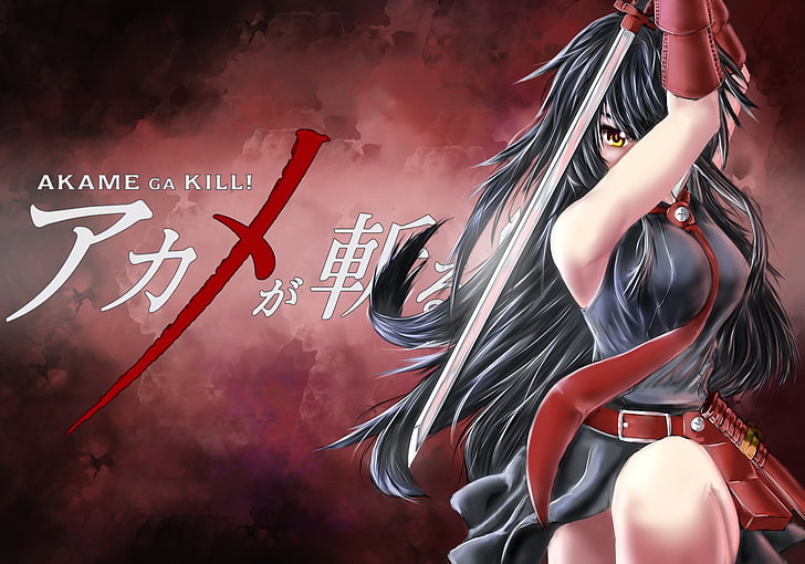 Akame ga Kill!, anime girls, Akame, HD wallpaper