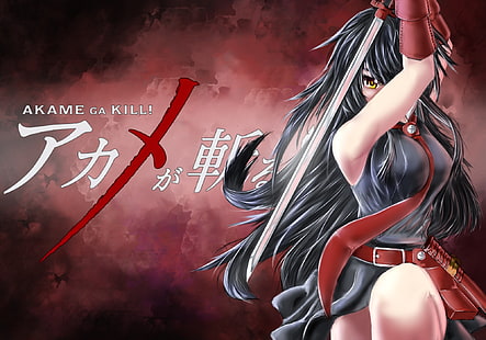 Akame ga Kill !, Anime Girls, Akame, HD-Hintergrundbild HD wallpaper