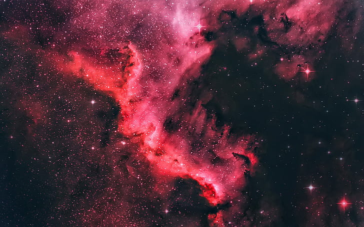 Nebula Amerika Utara, ruang indah, bintang, gaya ungu, semesta, kosmik hitam dan merah, Utara, Amerika, Nebula, Indah, Luar Angkasa, Bintang, Ungu, Gaya, Semesta, Wallpaper HD