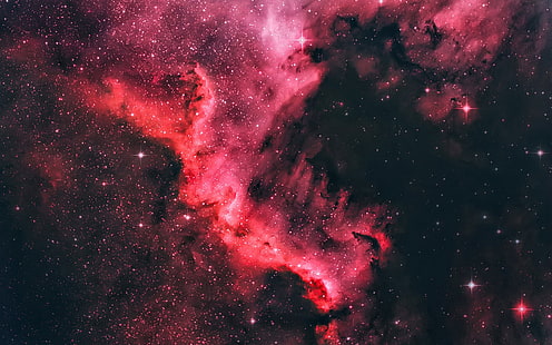 Nebulosa da América do Norte, espaço bonito, estrela, estilo roxo, universo, cósmico preto e vermelho, Norte, América, Nebulosa, Linda, Espaço, Estrela, Roxo, Estilo, Universo, HD papel de parede HD wallpaper