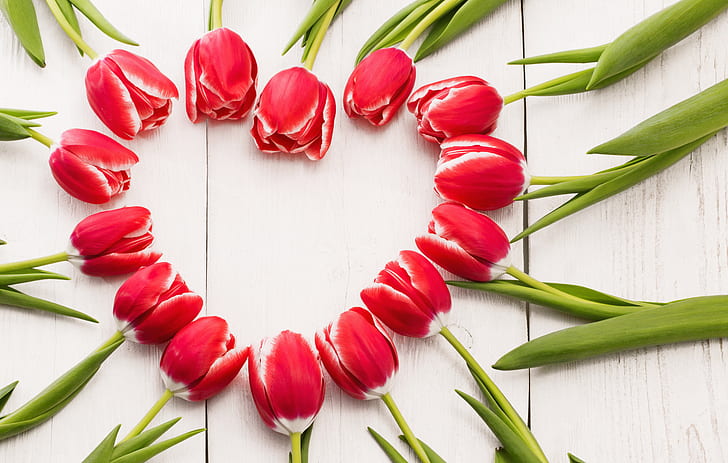 flowers, heart, tulips, red, love, wood, romantic, spring, red tulips, HD wallpaper