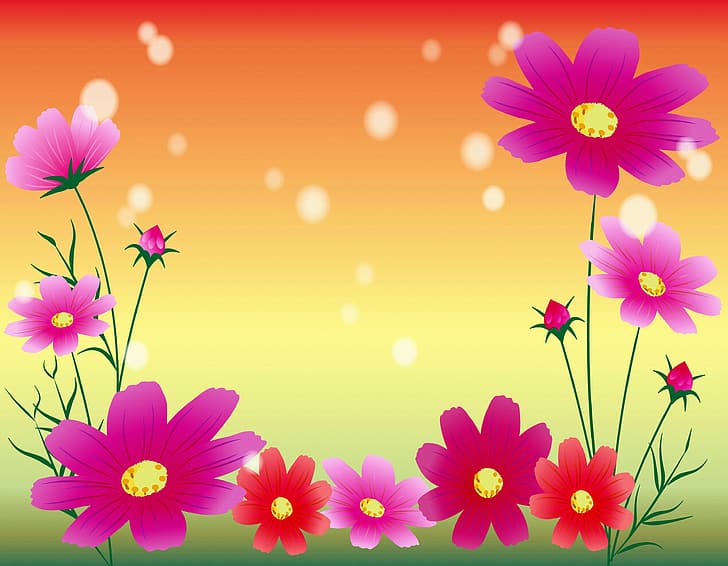 Blumen, Postkarte, Kosmeya, Vorlage, leer, HD-Hintergrundbild