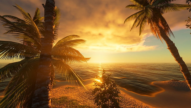 två kokospalmer, landskap, solnedgång, strand, himmel, CGI, HD tapet