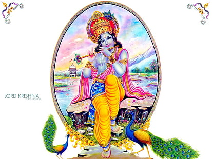 Lord Krishna And Peacock, Lord Krishna illustrazione, Dio, Lord Krishna, signore, pavone, Sfondo HD HD wallpaper