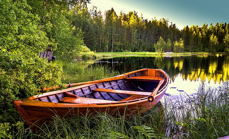 кафява дървена гребна лодка, дървета, пейзаж, природа, езеро, лодка, HD тапет
