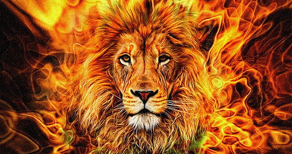  lion, animals, big cats, HD wallpaper HD wallpaper