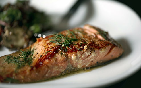 อาหารปลาแซลมอน, วอลล์เปเปอร์ HD HD wallpaper