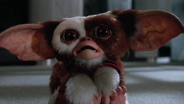 Movie, Gremlins 2: The New Batch, Gizmo, HD wallpaper
