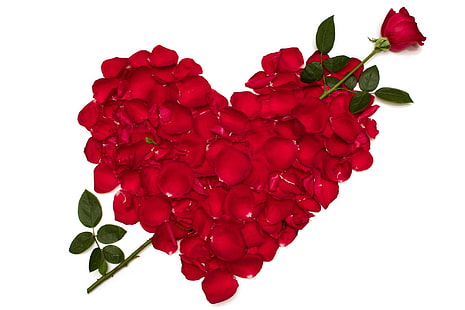 Corazón de rosas Pétalos rojos Flores, amor, día de san valentín, san valentín, san valentín 2014, rosas, corazón, pétalos, flores, corazón de rosas, Fondo de pantalla HD HD wallpaper