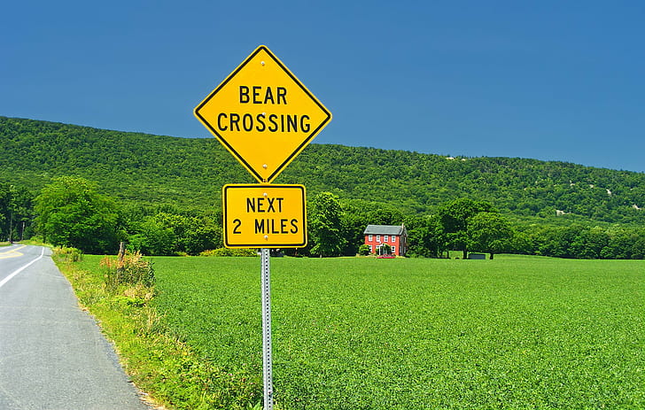 znak drogowy skrzyżowania niedźwiedzia, Dzielenie się, niedźwiedź, przejście, Pensylwania, Hrabstwo Lehigh, Lynn Township, PA-309, PA Route 309, Blue Mountain, Kittatinny Mountain, Lehigh Valley, Valley road, jasne światło, creative commons, znak, droga, droga Znak, Tapety HD