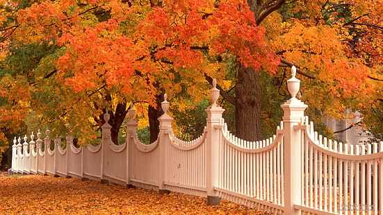 Bennington, Vermont, Fall, Tapety HD HD wallpaper