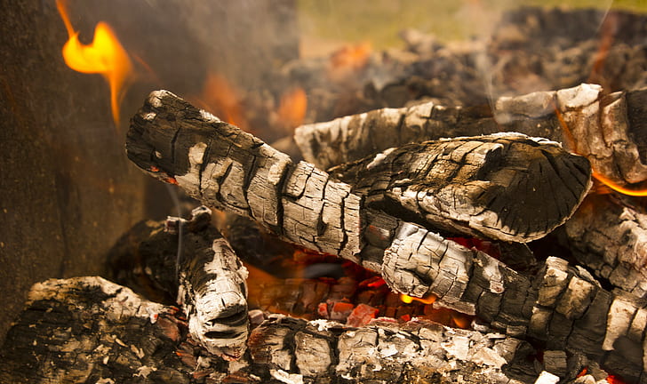 Fire kebabs, fire, Nature, kebabs, outside the city, wood, HD wallpaper