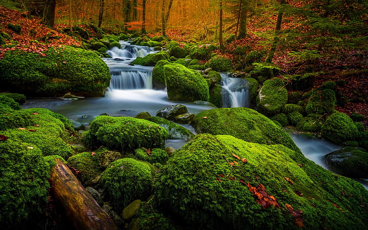 Река в Рихтерсвил Швейцария Цвете Зелени скали, покрити със зелен мъх Горски дървета Паднали червени есенни листа Пейзаж Снимка Тапет за работен плот Hd 3840 × 2400, HD тапет
