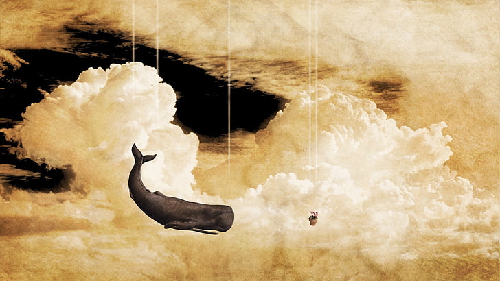 pittura balena grigia, The Hitchhiker's Guide to the Galaxy, Infinite Improbability Drive, balena, nuvole, petunie, animali, Sfondo HD