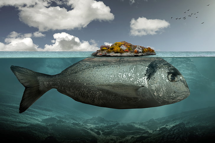 gray fish illustration, artwork, digital art, surreal, underwater, animals, fish, birds, island, house, clouds, rock, sea, horizon, fantasy art, trees, Cristina Zaccaria, water, HD wallpaper