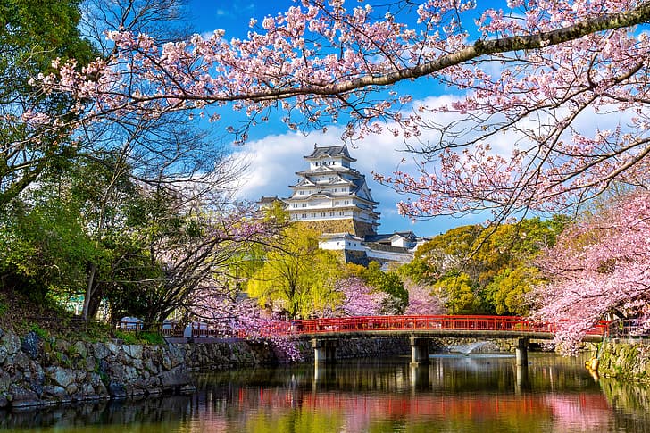 الحديقة ، الربيع ، اليابان ، ساكورا ، المزهرة ، الإزهار ، الكرز ، القلعة ، هيميجي، خلفية HD