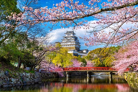 Парк, пролет, Япония, Сакура, цъфтеж, цвят, череша, замък, Himeji, HD тапет HD wallpaper