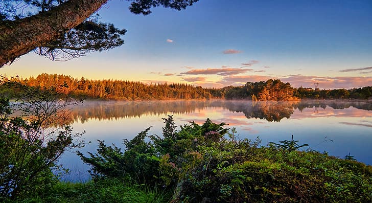 forest, lake, reflection, calm, Norway, Rogaland, Tuastadvatnet, HD wallpaper