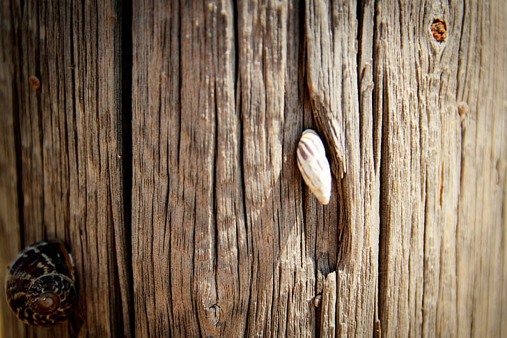 kayu, Wallpaper HD