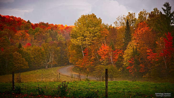 Feuillage d'automne, Vermont, automne, Fond d'écran HD