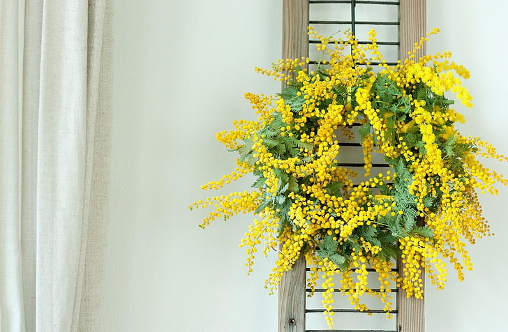 green and yellow flower wreath, mimosa, wreath, yellow, wall, HD wallpaper