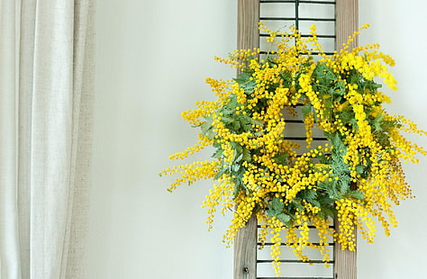إكليل الزهور الخضراء والصفراء ، الميموزا ، إكليل الزهور ، الأصفر ، الجدار، خلفية HD HD wallpaper