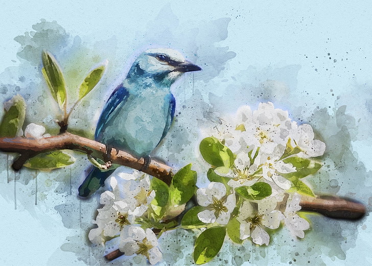 Fåglar, fågel, konstnärlig, körsbärsblomning, blomma, akvarell, HD tapet