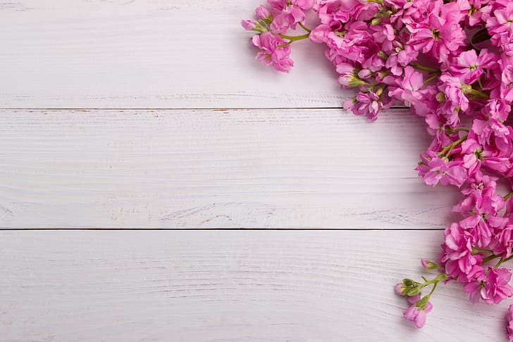 flowers, pink, wood, spring, HD wallpaper