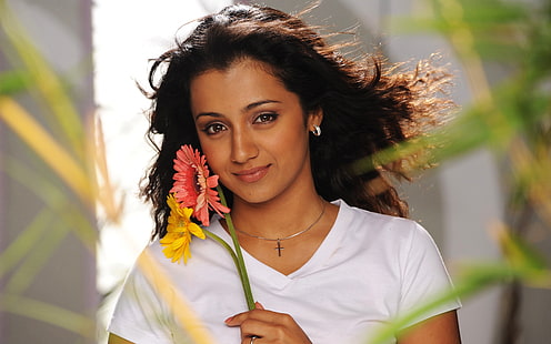 Telugu, Tamil, 4K, Trisha Krishnan, Heroine, Sfondo HD HD wallpaper
