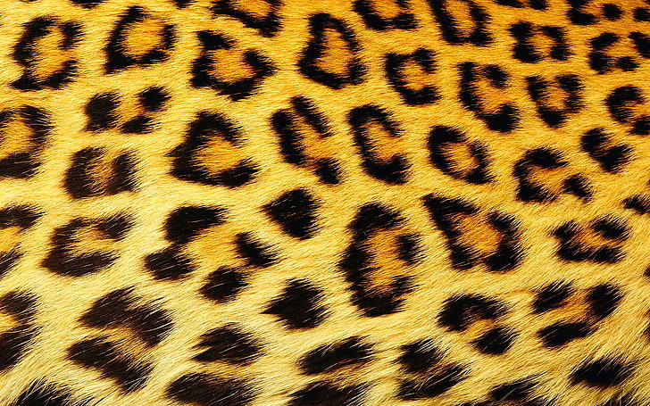 black and brown leopard-pattern sheet, texture, wool, spot, leopard, HD wallpaper