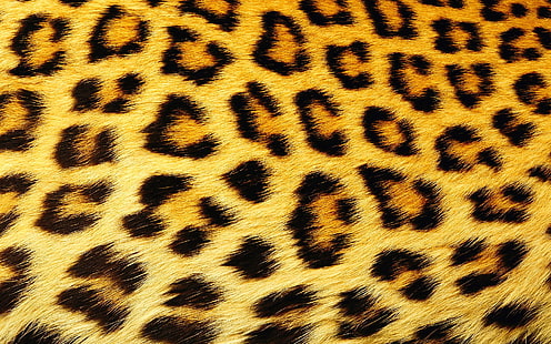 черно-коричневый леопардовый узор, текстура, шерсть, пятно, леопард, HD обои HD wallpaper