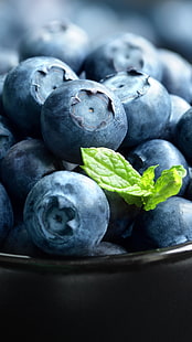 Bowl Blueberry Fresh, pęczek borówek, Nature, Food, miska, świeży, borówka, Tapety HD HD wallpaper