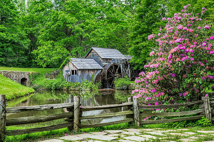 Man Made, Watermill, Blossom, Fence, Mabry Mill, Mill, Pink Flower, Spring, Tree, HD wallpaper