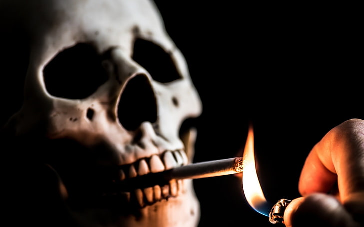 白い頭蓋骨、タバコ、死、喫煙、ライター、頭蓋骨、 HDデスクトップの壁紙