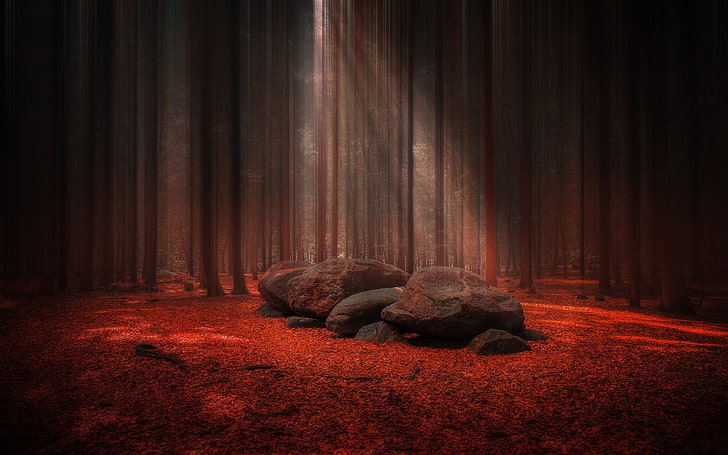 black and red rock wallpaper, black rocks on red textile digital wallpaper, nature, landscape, sunlight, forest, stones, trees, leaves, red, fall, mist, sun rays, tomb, atmosphere, path, HD wallpaper