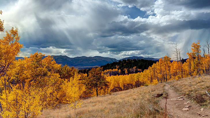 Aspen Trail, forest, sunrays, mpuntains, clouds, aspens, nature and landscapes, HD wallpaper