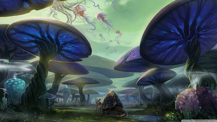 arte digital, surreal, plantas, cogumelos mágicos, água-viva, animais, arte de fantasia, natureza, cogumelo, HD papel de parede