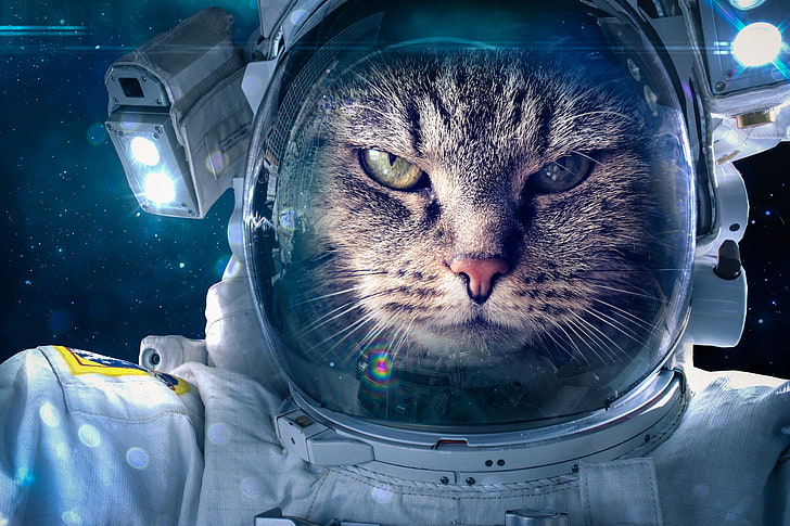 :D, fantasy, astronaut, cat, creative, pisica, HD wallpaper