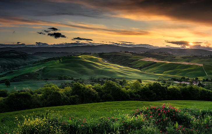 trees, landscape, sunset, flowers, nature, hills, field, Italy, Tuscany, HD wallpaper