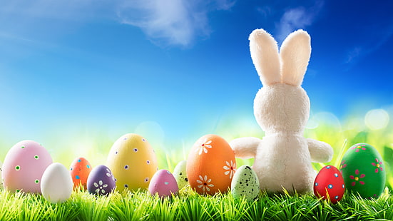 hierba, el sol, flores, primavera, conejo, Pascua, huevos, conejito, decoración, feliz, los huevos pintados, Fondo de pantalla HD HD wallpaper