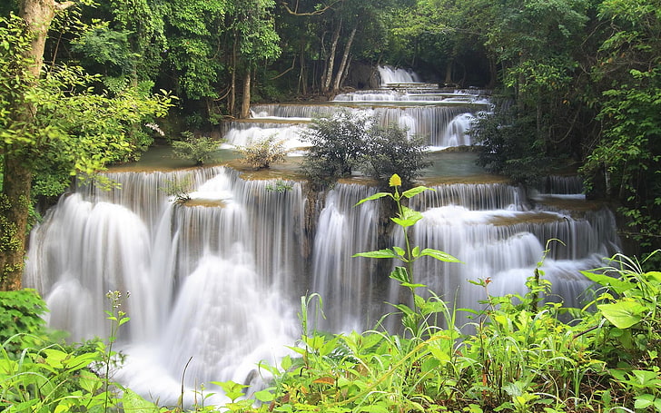 Wasserfälle, Wasser, Fluss, Wasserfall, Pflanzen, Landschaft, Natur, HD-Hintergrundbild