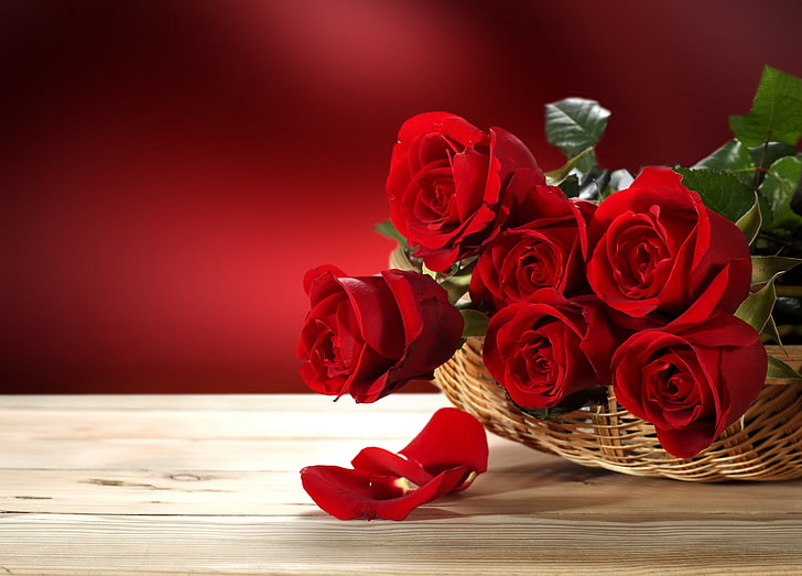 red rose flowers, love, flowers, roses, valentine's day, HD wallpaper