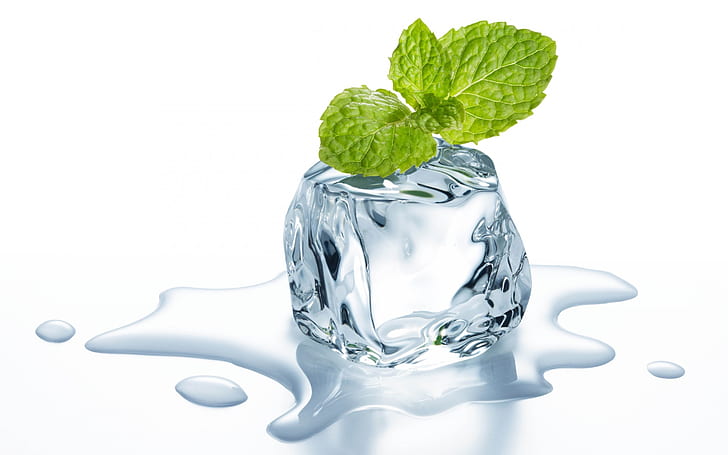 Ice Cube and Mint, HD wallpaper