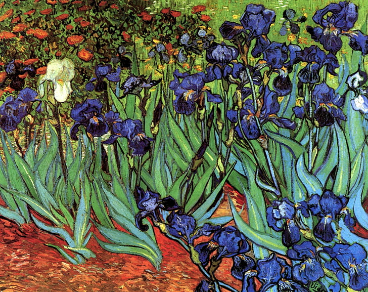 Vincent van Gogh, Iris, différentes couleurs, Fond d'écran HD