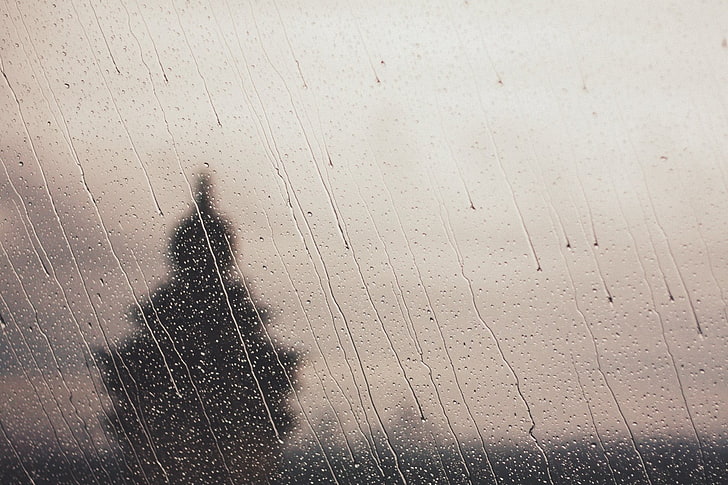 water drops, landscape, water drops, rain, trees, water on glass, HD wallpaper
