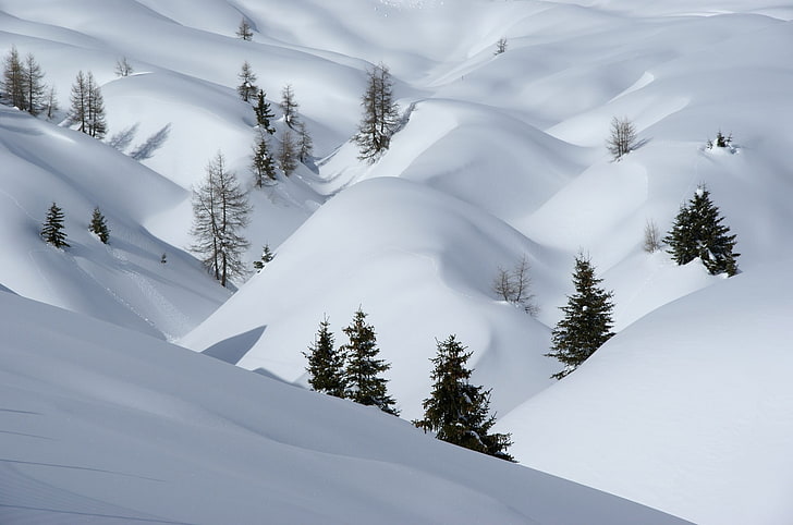 التصوير الفوتوغرافي والطبيعة والشتاء والثلج، خلفية HD